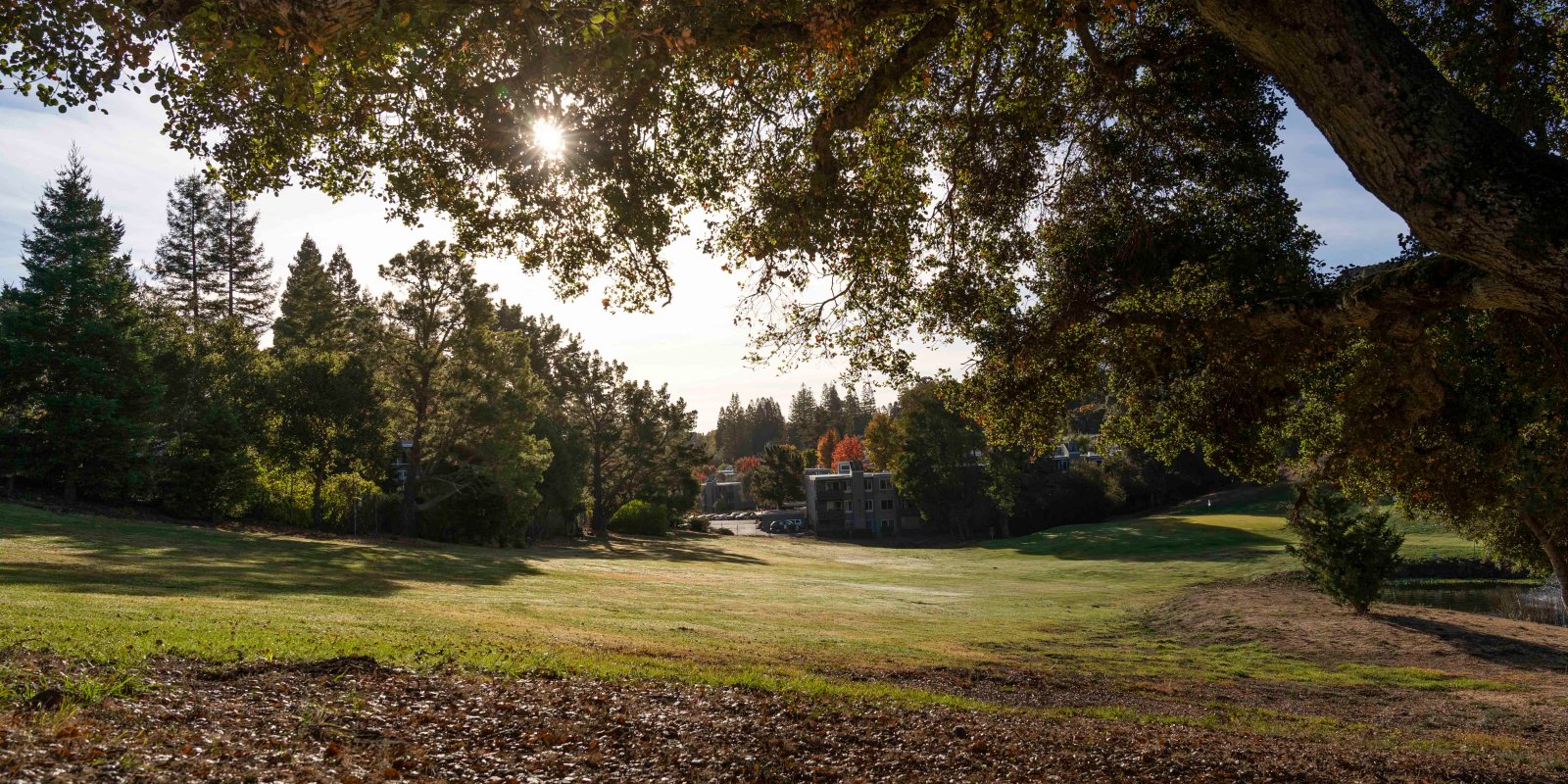 Emerald Hills Golf Course image